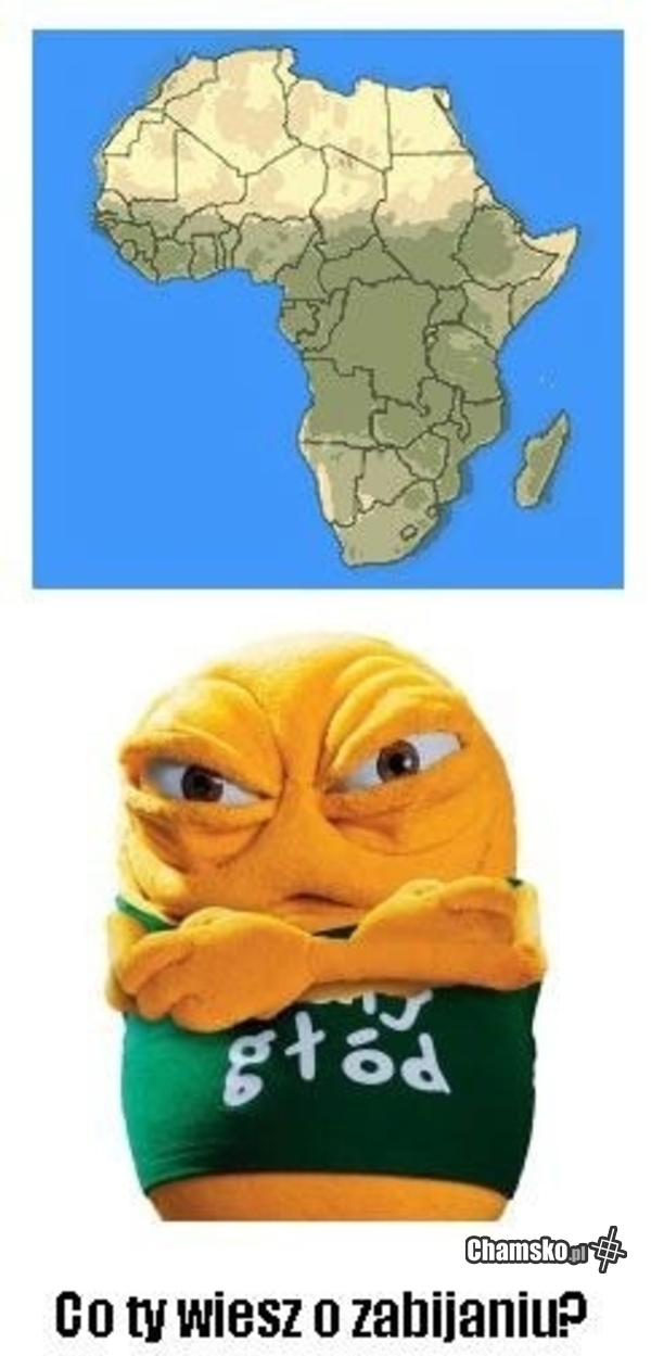 JEBAĆ AFRYKĘ KURWA