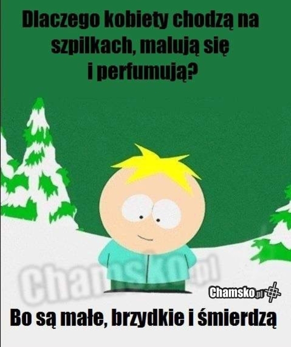 prawda o świniach