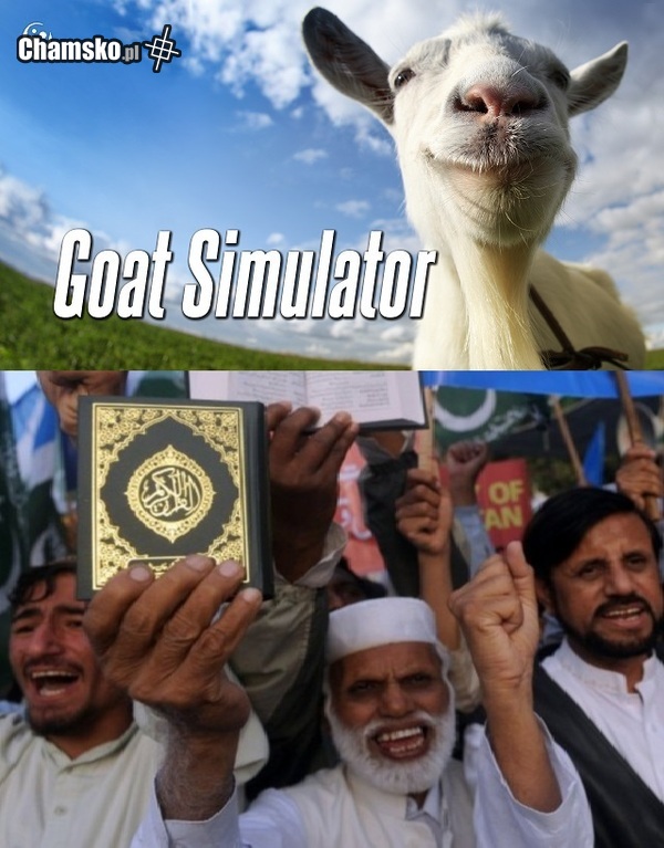 Symulator kozy