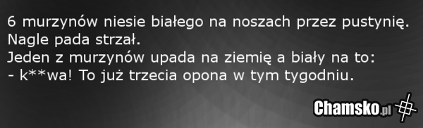 Opony