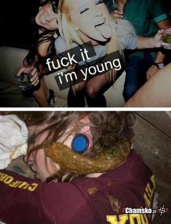 YOLO