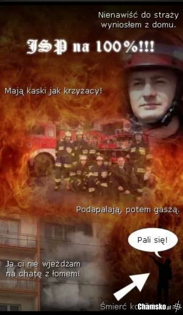 Jsp na 100%