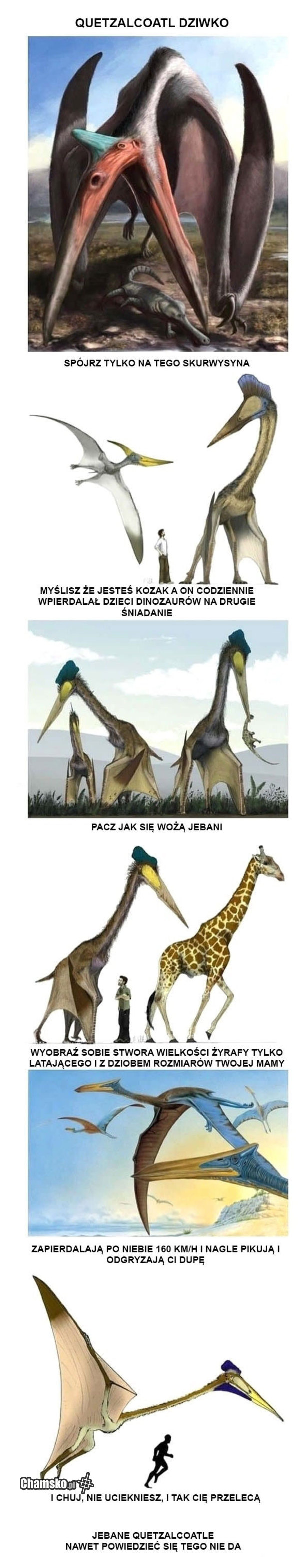 Dinozaury