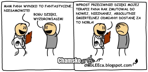 Świetne wyniki