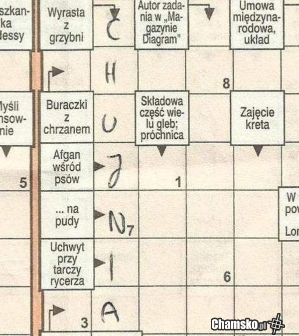 krzyżóweczka