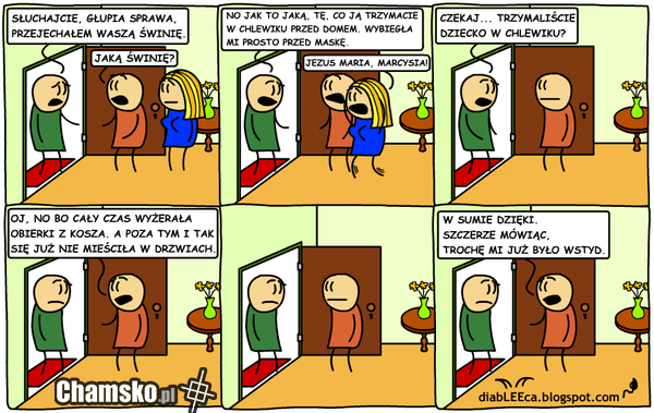 Przejechałem waszą świnię