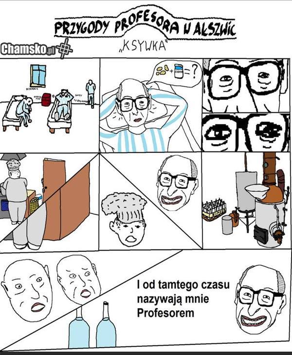 Przygody profesora w Ałszwic