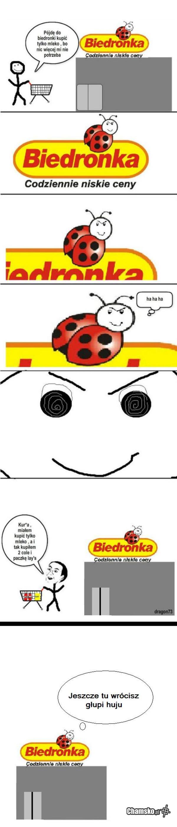 Biedronka