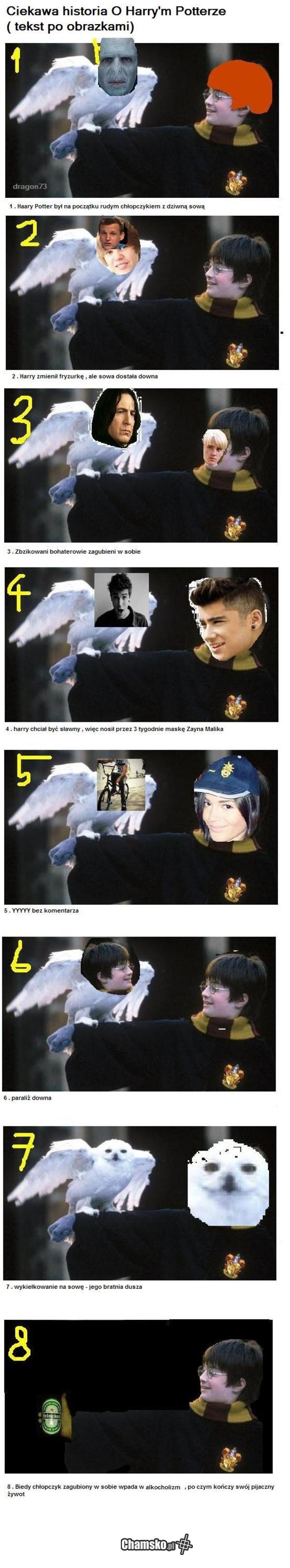 Harry Potter i jego ciekawa historia