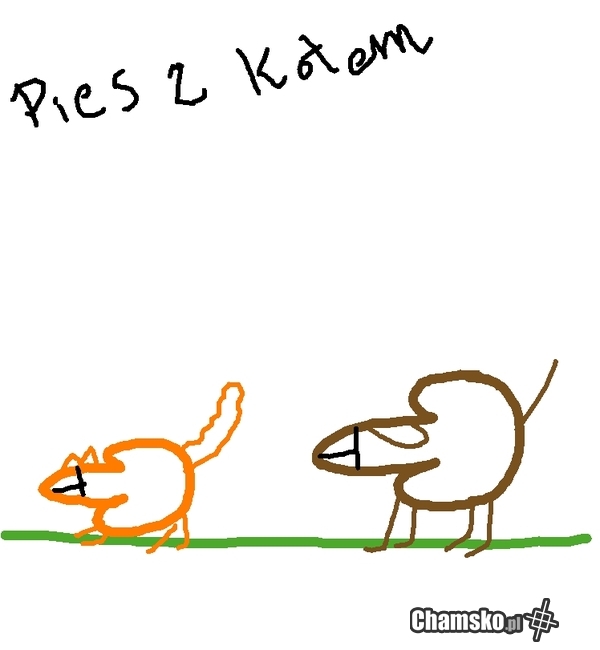Pies z kotem