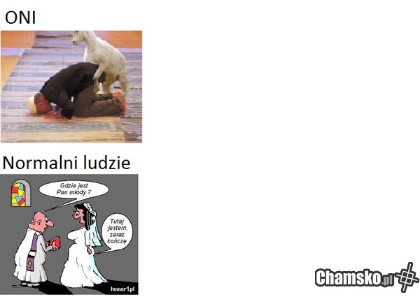Oni vs Normalni ludzie Źródło google