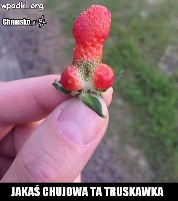 chujnia truskawkowa!