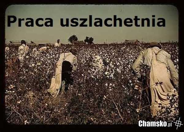 Praca...