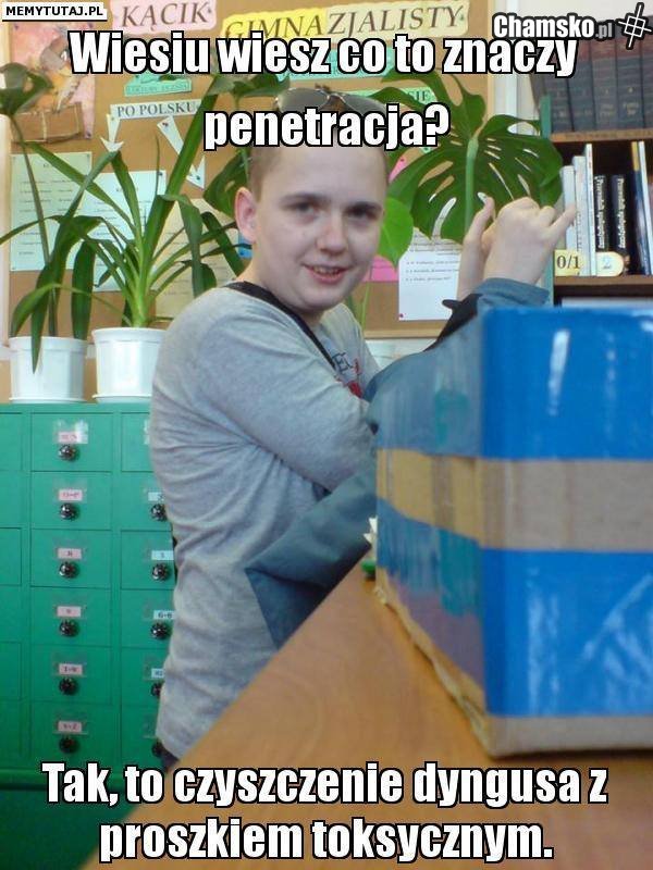 Wiesiek