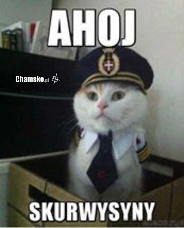 AHOJ