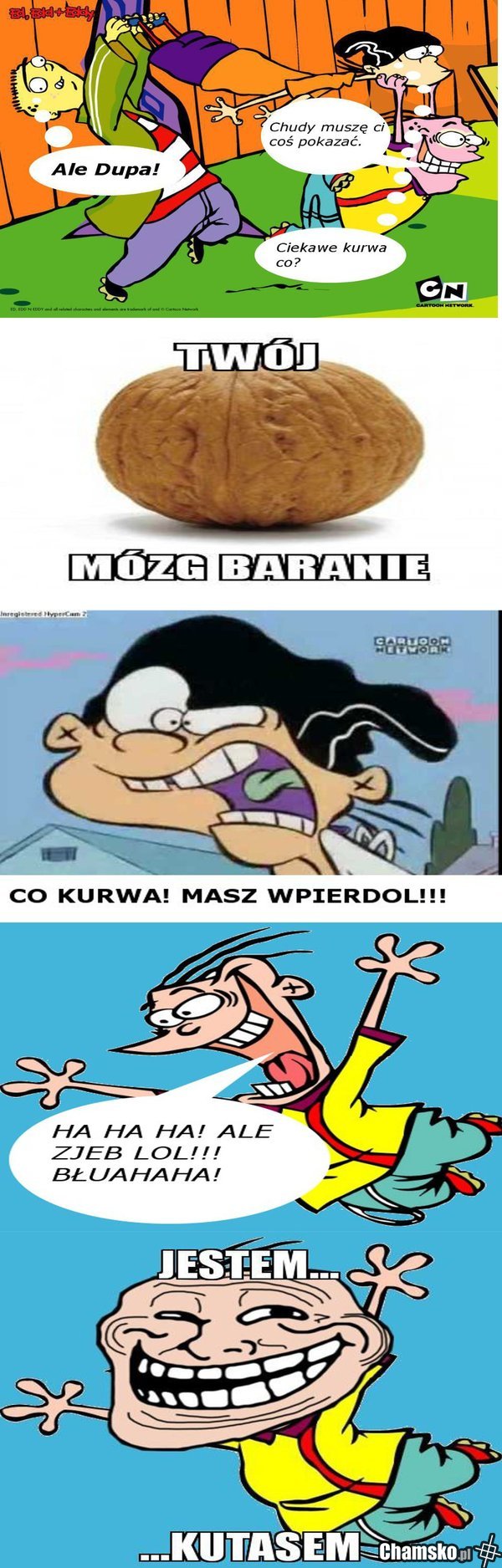 Mózg Eda