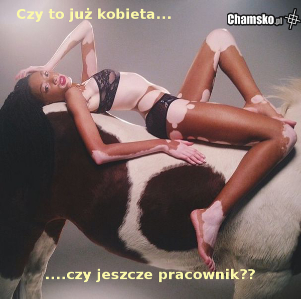 pytanie