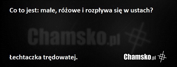 Zagadka