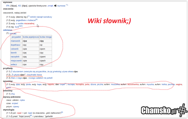 Wiki słownik!!