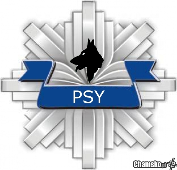 Psy