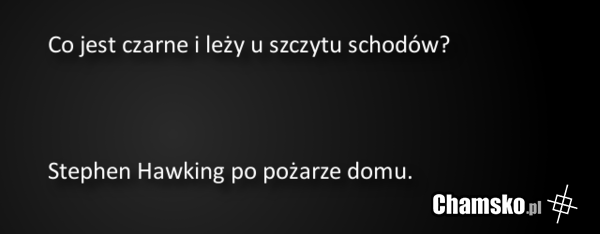 zagadka