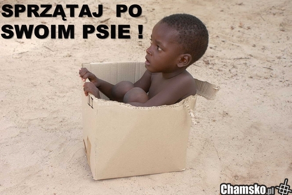 Sprzątaj po swoim