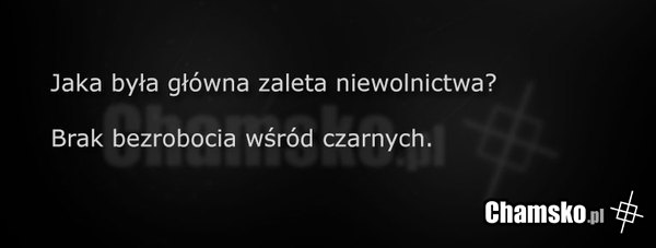 Plusy niewolnictwa
