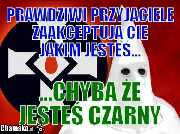 Prawdziwi Przyjaciele