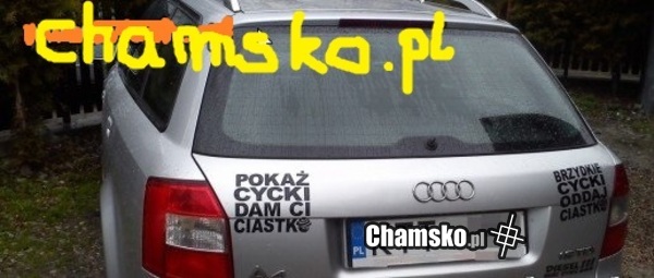 Poka cyce