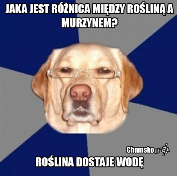 Różnica