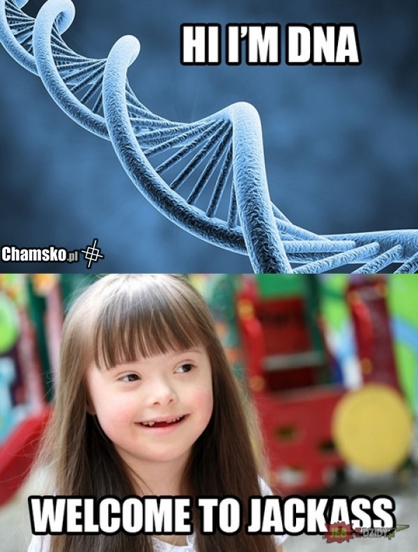 DNA