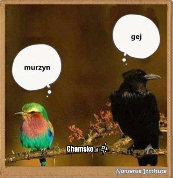 Tolerancyjni