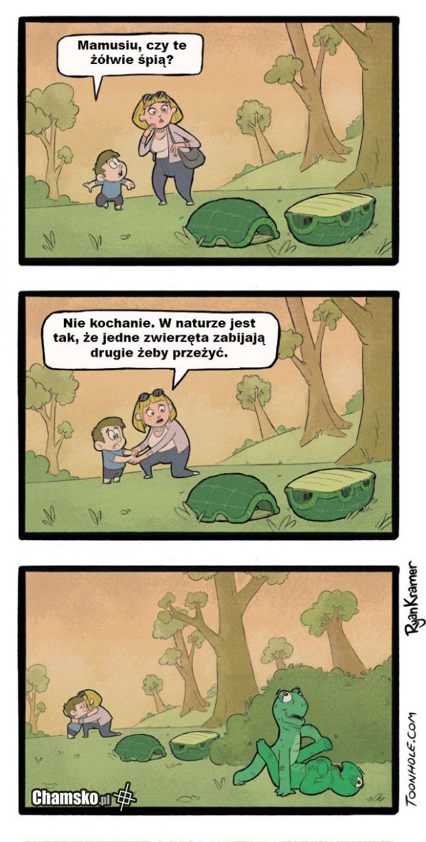 Śpiące zółwie