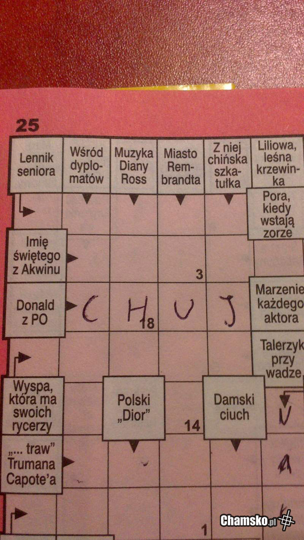 Krzyżówka