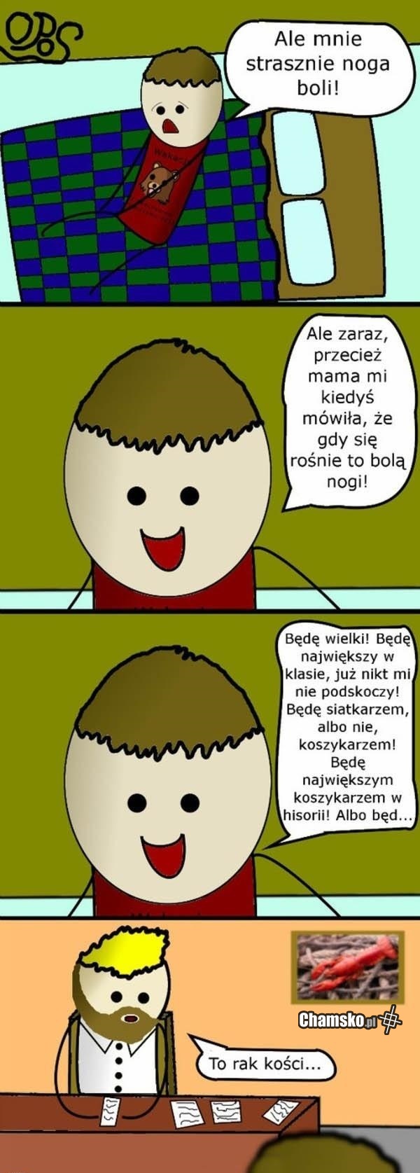 kości