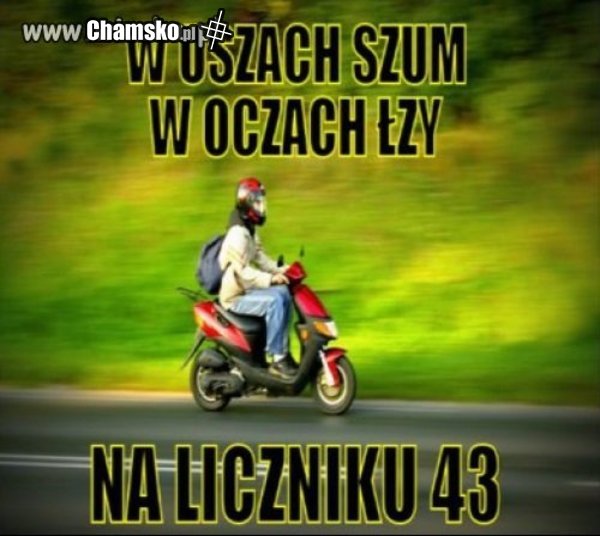 O Tak