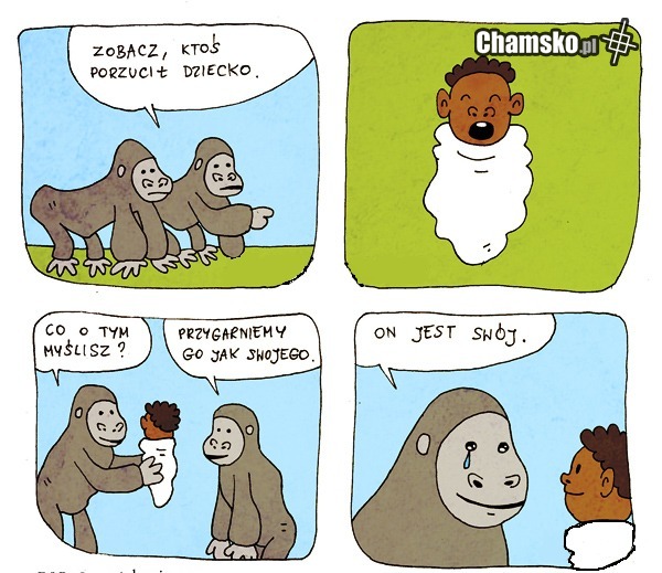 Swój