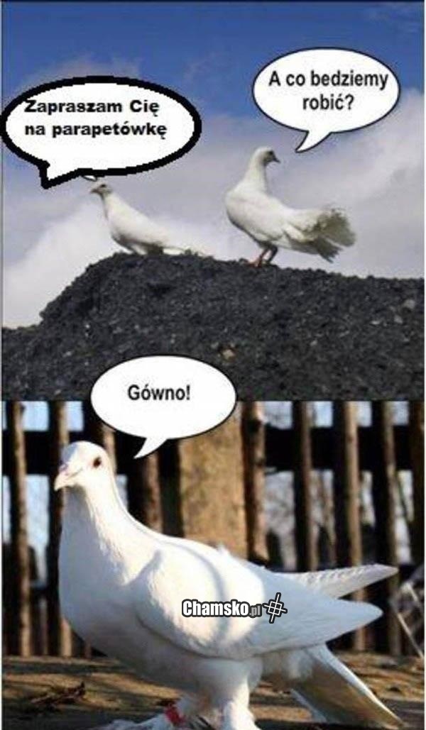Parapetówa