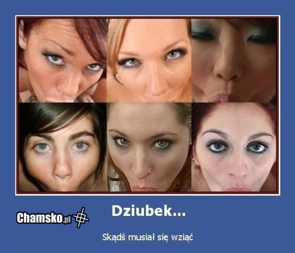Dziubek