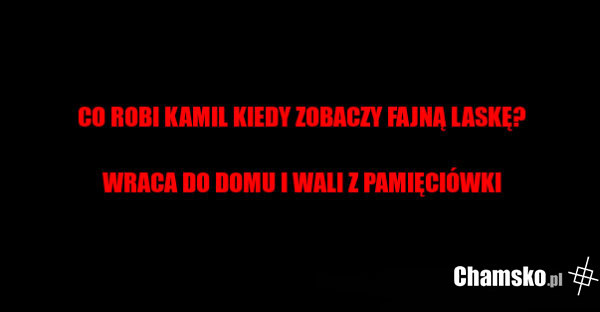 Przygody Kamila