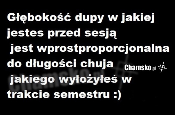sesja