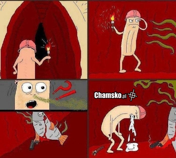 śledzior