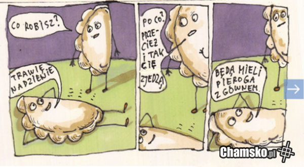 Pierogi