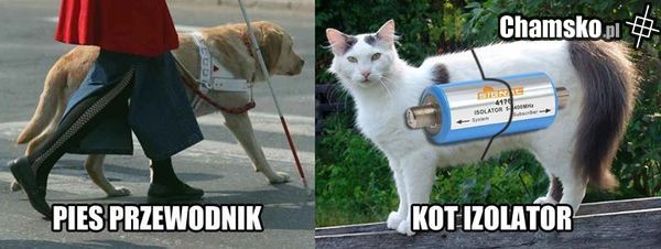 Kot izolator