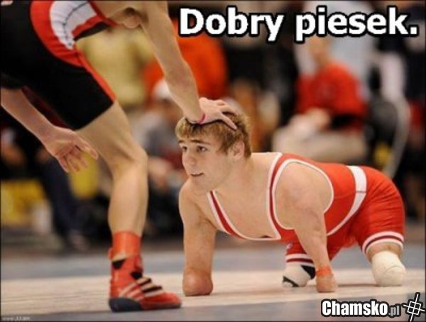 Dobry piesek