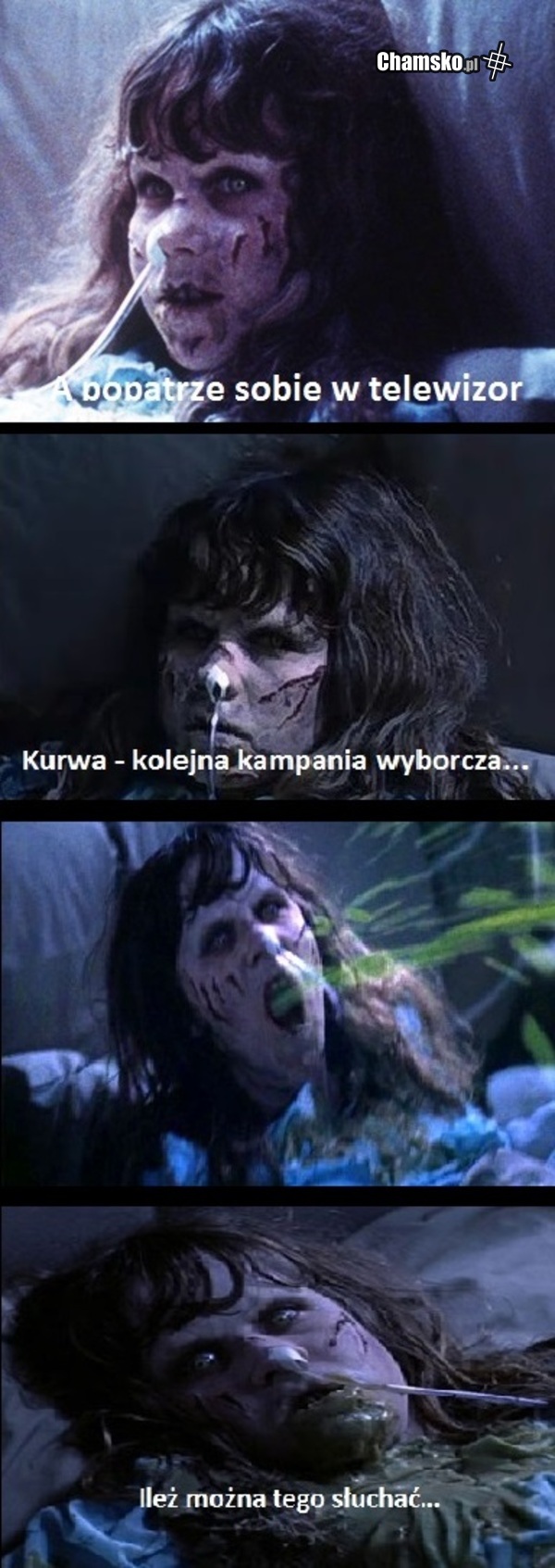 Kolejne wybory