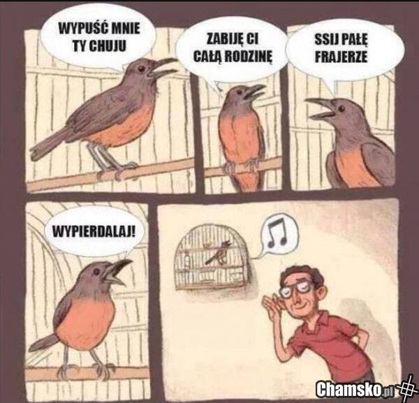 ćwir ćwir