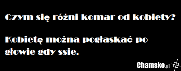 komar
