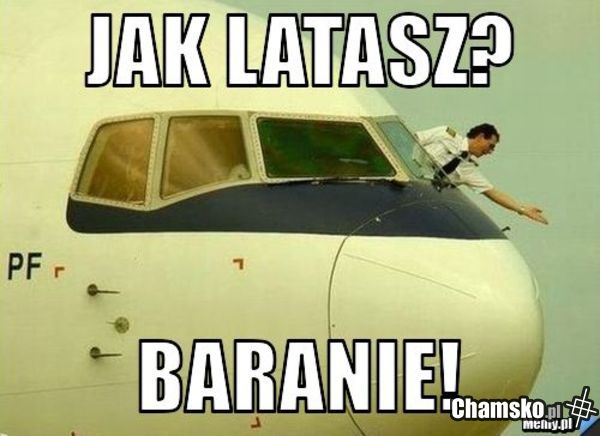 Tymczasem w Pile latać kurwy nie umieją...