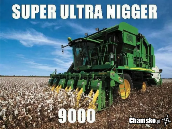 Nigger...